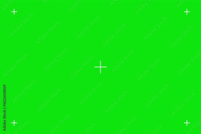 Green Screen Video Editor