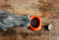 Pet Food and Pet Supplies