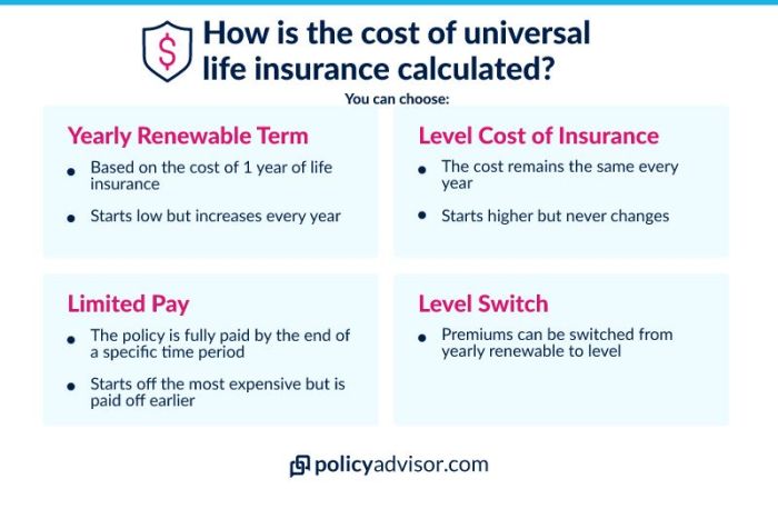 Universal Life Insurance