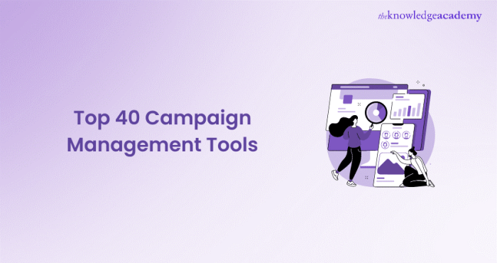 What tools can help manage electronic promo campaigns