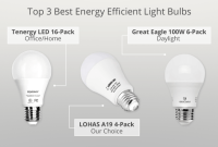 LED Energy Efficient Bulbs