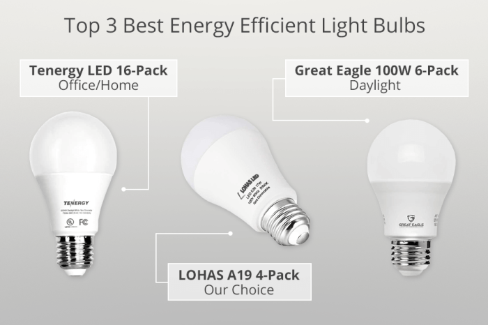 LED Energy Efficient Bulbs