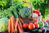 depositphotos_113045658-stock-photo-variety-of-fresh-organic-vegetables Fresh Fruits and Vegetables