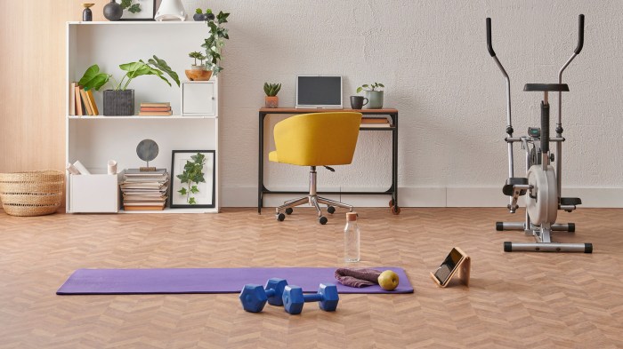 Gym and Fitness Products