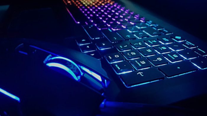 Essential features of gaming keyboards and mice?