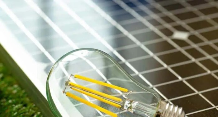 Solar Powered Flood Light